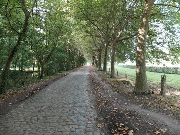 dreef naan kasteel