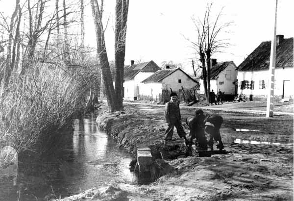 waterpomp-Terbeek